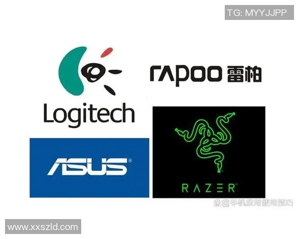 CSGO玩家必看装备选购指南推荐最适合的游戏鼠标选择技巧与品牌解析