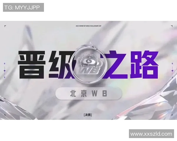 WE逆袭之路挑战者杯特别报道揭示团队成长与奋斗历程