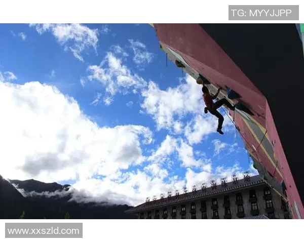 北京攀岩队运营分析：成功经验与面临挑战的全面探讨