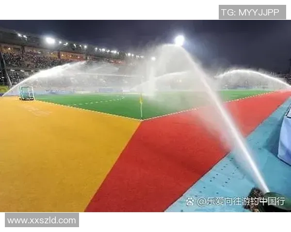 专访滑板女王赵娜揭秘她成功背后的秘密与坚持